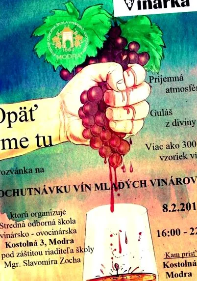 profesională profesională