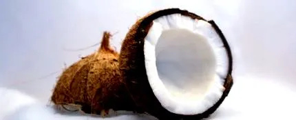 descoperiți cocos
