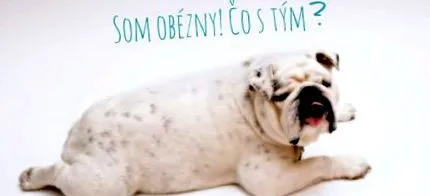 acestei probleme câinele