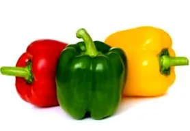 paprika