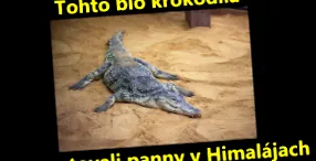 едното нито по-добре