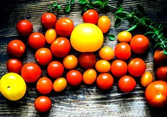 eficientă tomate