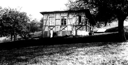 noastră weleda