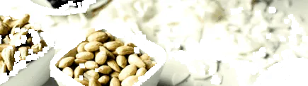 diófélék gyümölcsök