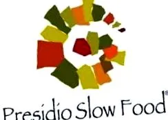 slow