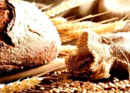 Valoare energetică carbohidrați proteine