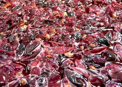 vărsăm