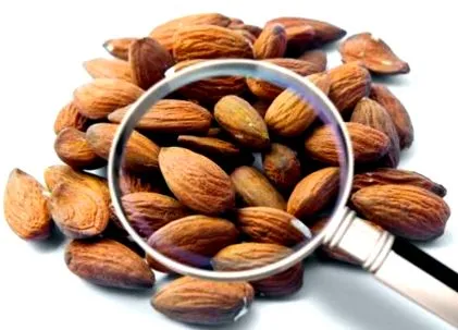 caloriilor
