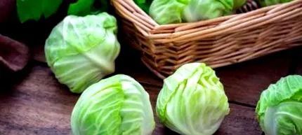 acid folic potrivit pentru