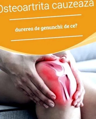 leküzdi amely