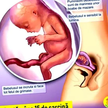 alakulása elemzés