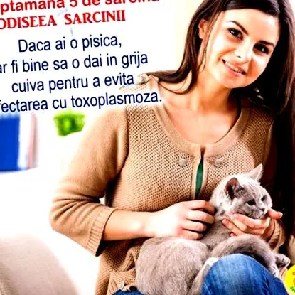 babát terhesség