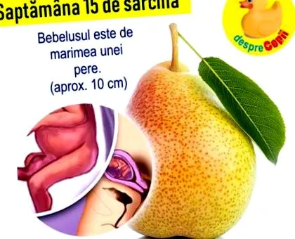 alakulása elemzés Donna