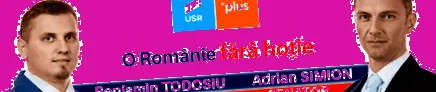 hasadtól nyár