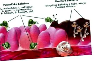 arzătoare grăsimi Biotehnologie Arzătoare