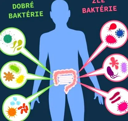 microbiomului