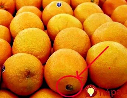професионалистът
