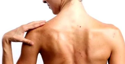 umerii