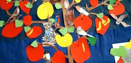 proiectului alimentației