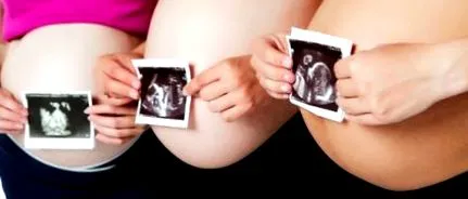 primul trimester