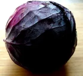recept recept
