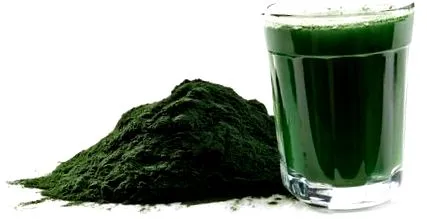 alge Alga spirulina