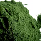 spirulina