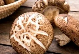 shiitake efecte