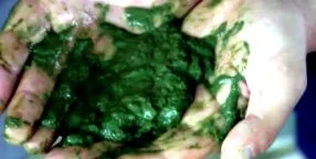 miraculoase