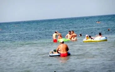 fără ardeți