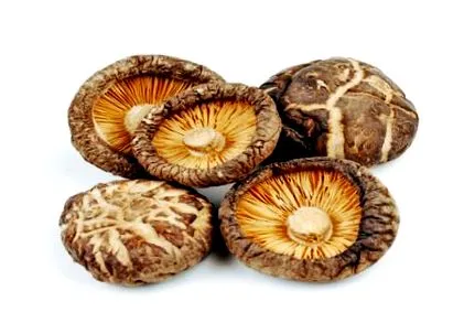 ciuperca