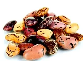 leguminoase