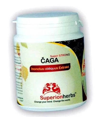 siberian chaga