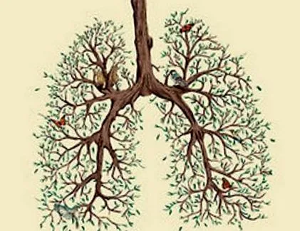 respiratorii respiratorii