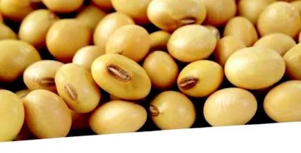 pregătirea