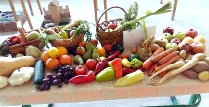 ziua nutriției