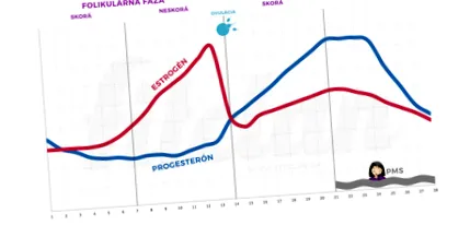 timpul fazei timpul fazei