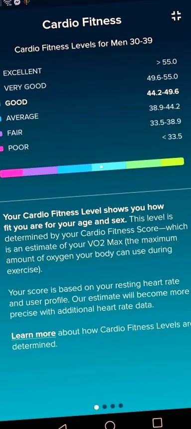 tomas fitbit