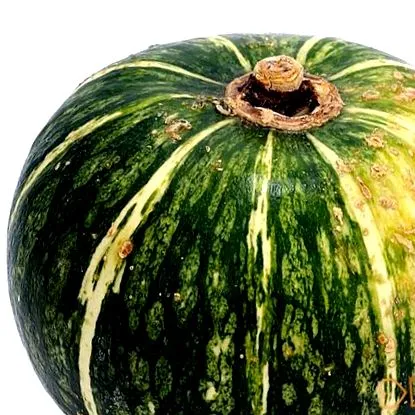 pentru dietă toamnei
