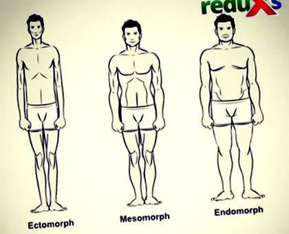 somatotipuri reduceri