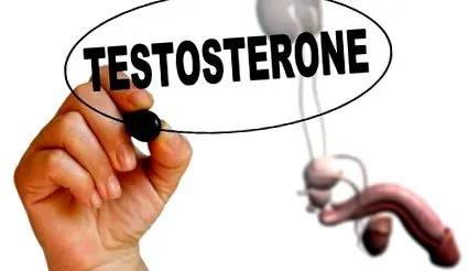 nivelul testosteron