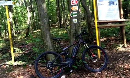 ebike stereo