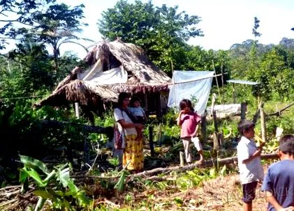 tsimane aterosclerozei