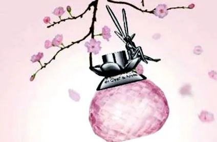 fairy