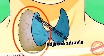 няма
