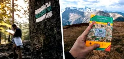 smartphone-uri smartphone-uri