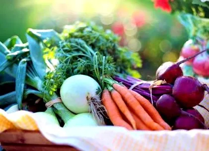 vitamine