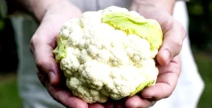 mâncați