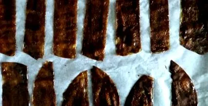 bacon