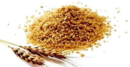 bulgur